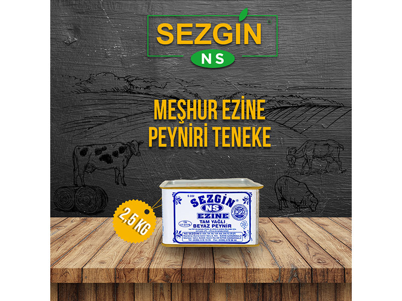 EZİNE TENEKE 2,5 KG