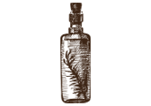 Zeytinyağı